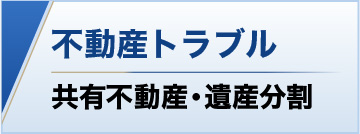不動産トラブル 共有不動産・遺産分割